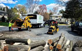 Reliable Larchmont, NY Tree Removal and Landscaping Services Solutions